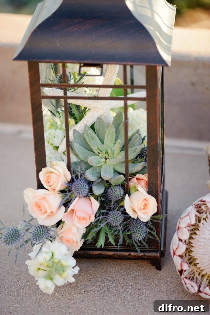 Lantern decorated with succulents