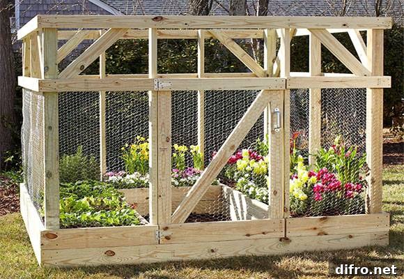 raised garden bed with enclosure chicken wire