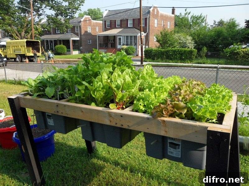 self watering veggie table plants plastic containers wood