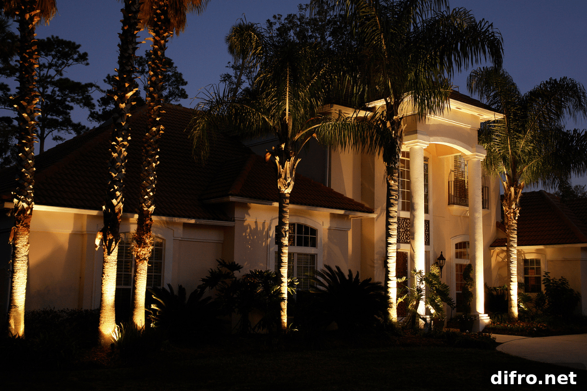 palm trees lit up at night