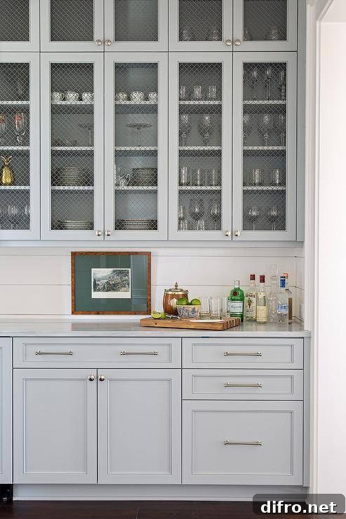 blue cabinet with wire mesh
