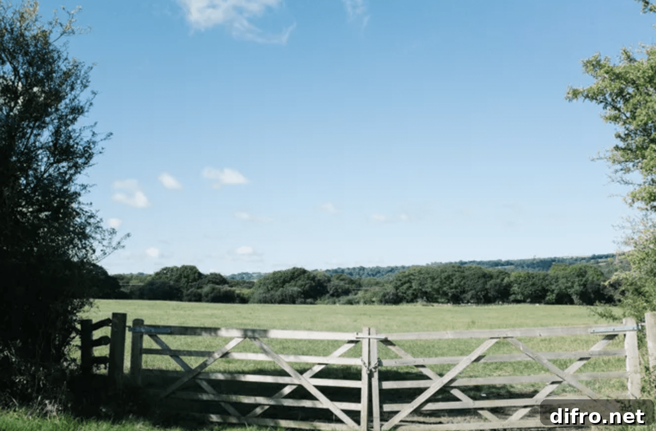 large farm gate in front of pasture field