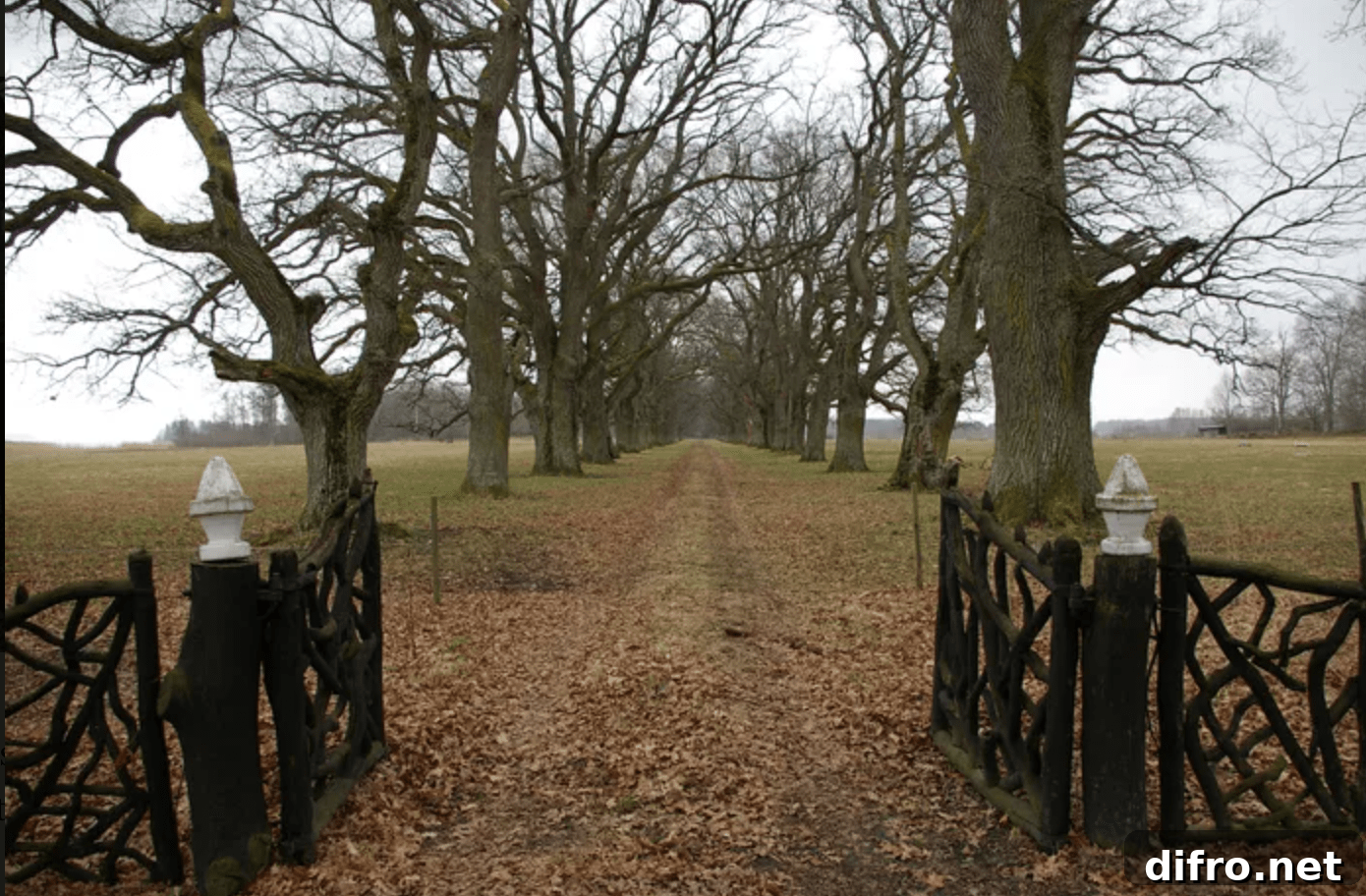 rustic criss cross wooden gate out in country tree lined road covered with leaves