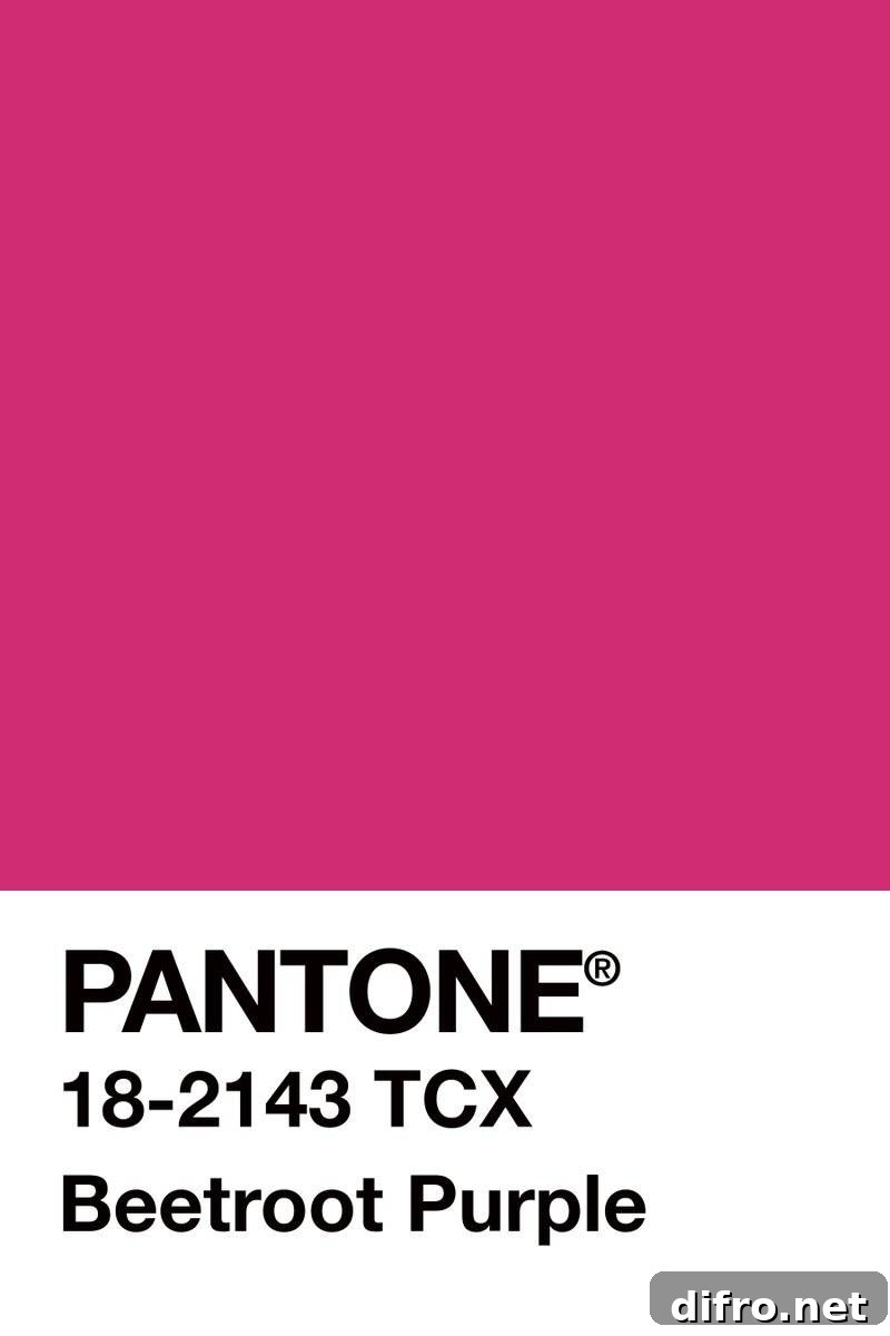 Pantone Beetroot Purple