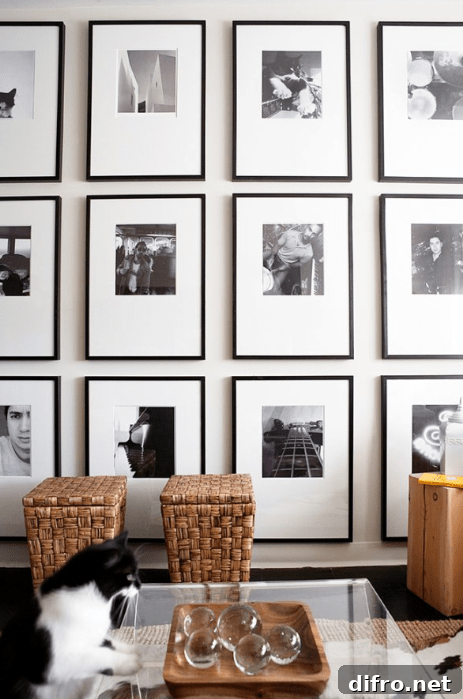 Black and white photo wall gallery, baskets, acrylic coffee table, sisal rug and cowhide rug.