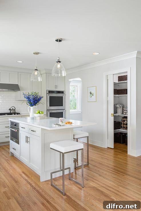 A kitchen pantry with pocket doors and stacked shelves offering organized storage.