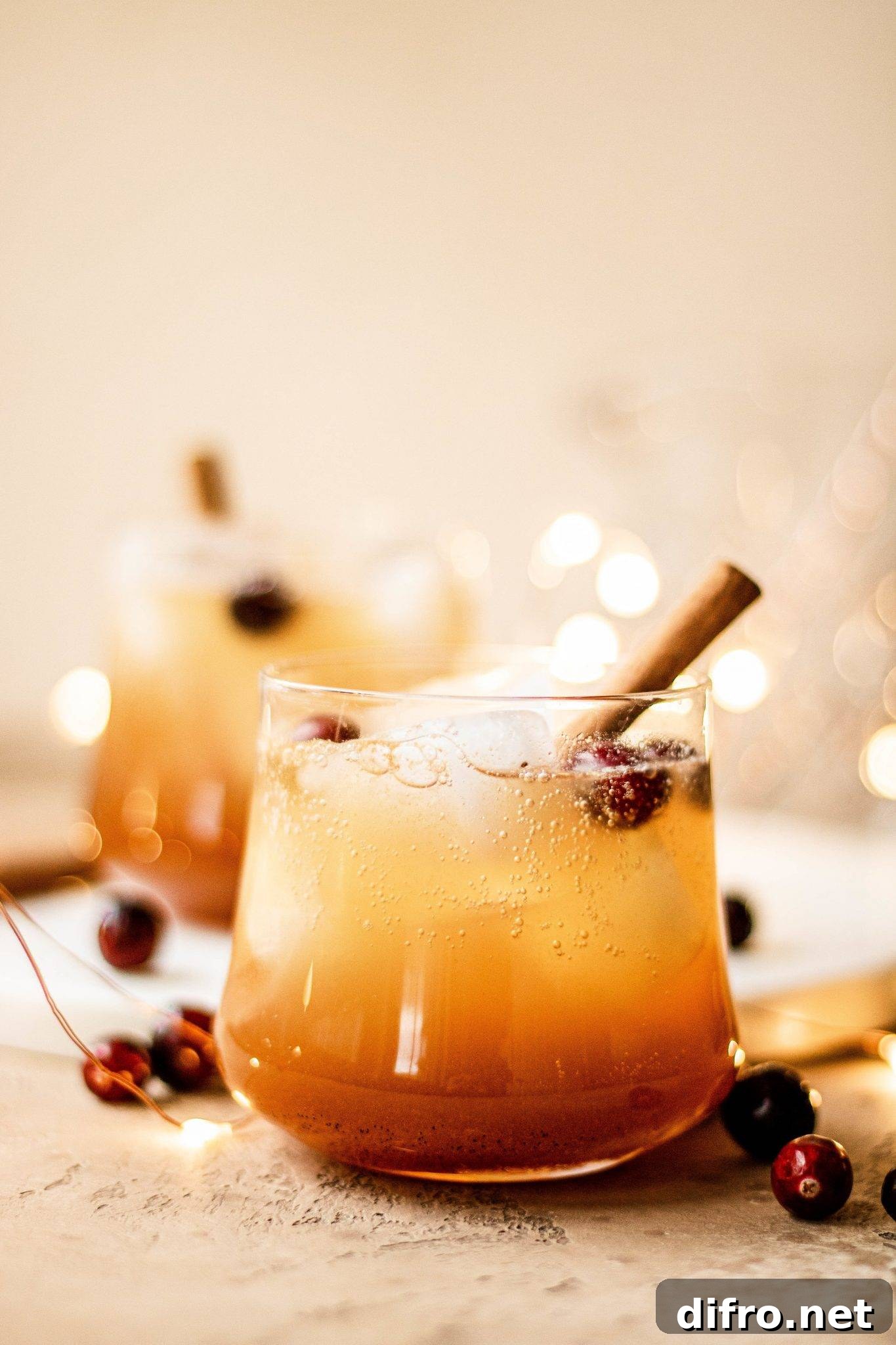 Bourbon Apple Cider Fizz