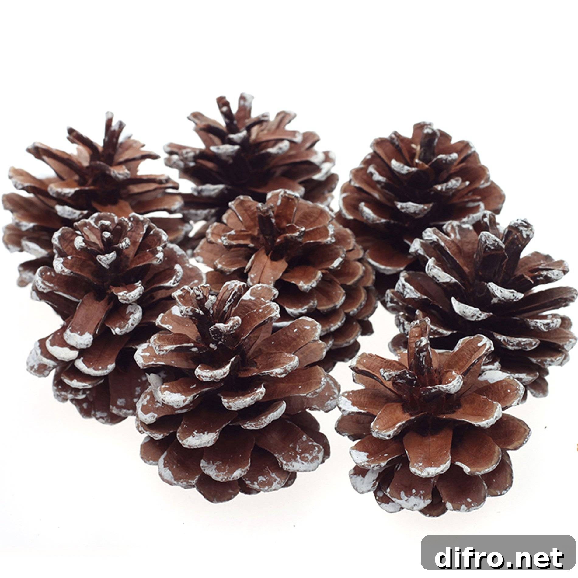 Pinecone decorations for a natural holiday table