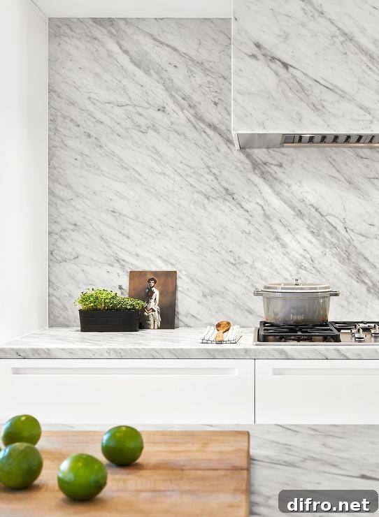 Marble-clad hood on a marble slab backsplash above a gas cooktop