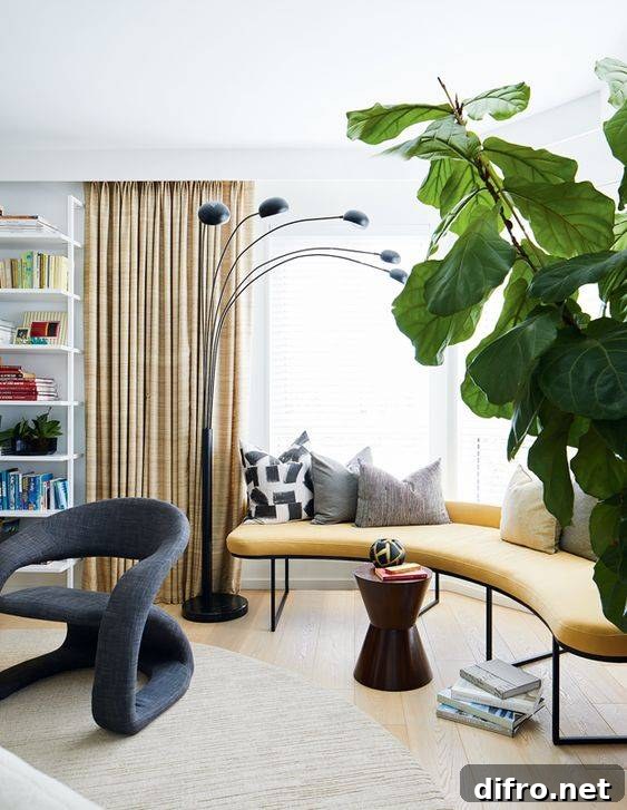 curvy furniture in living space