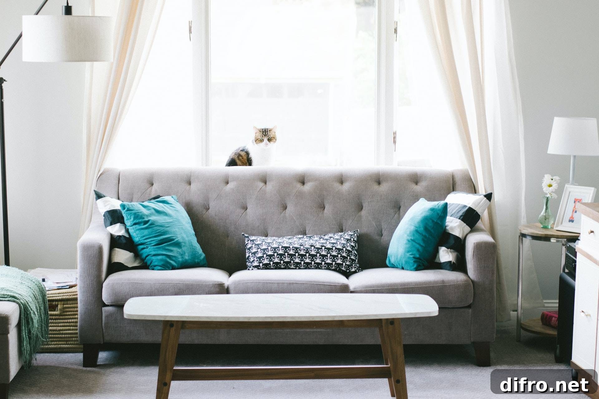gray couch