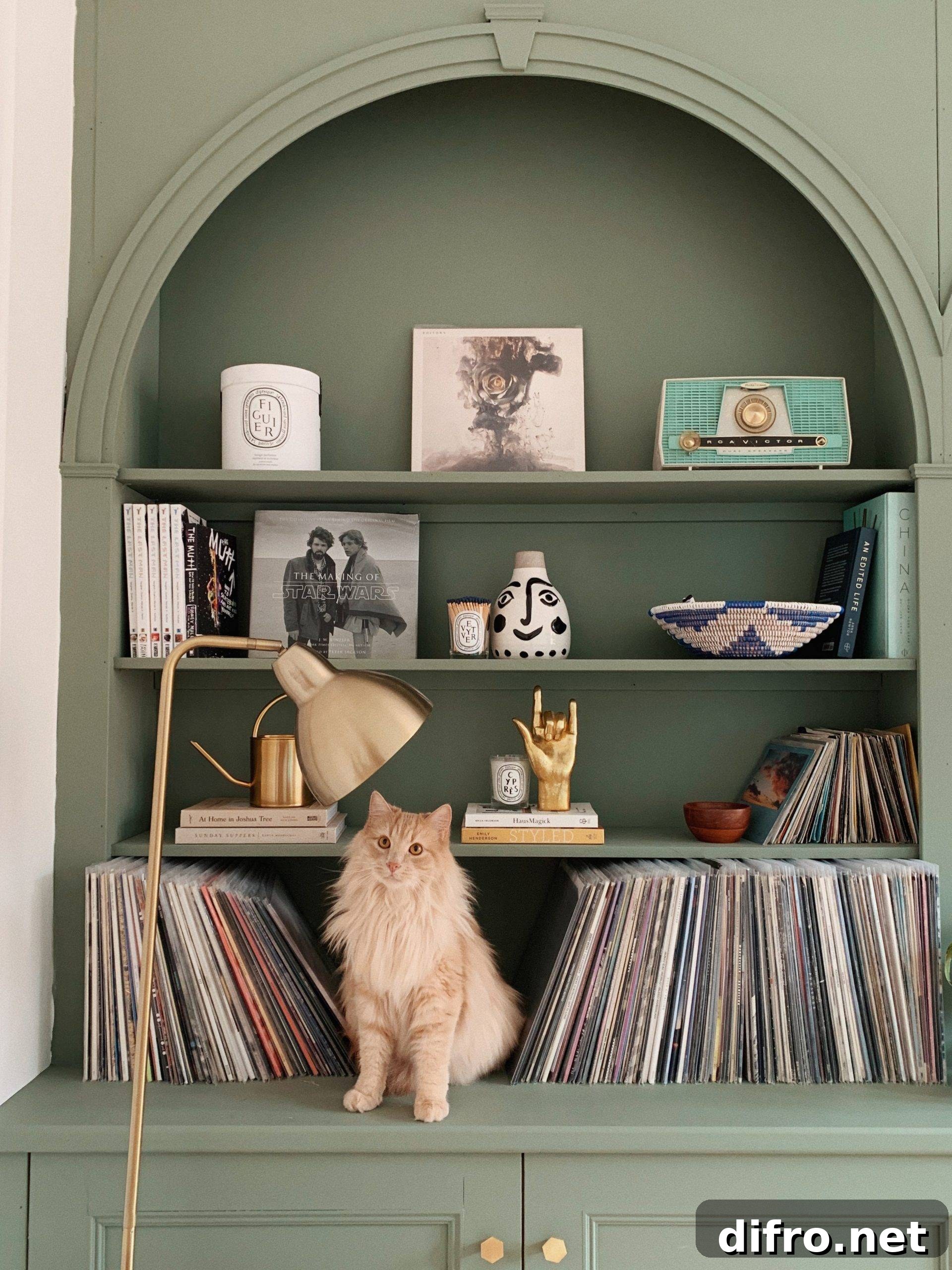 styled bookshelves