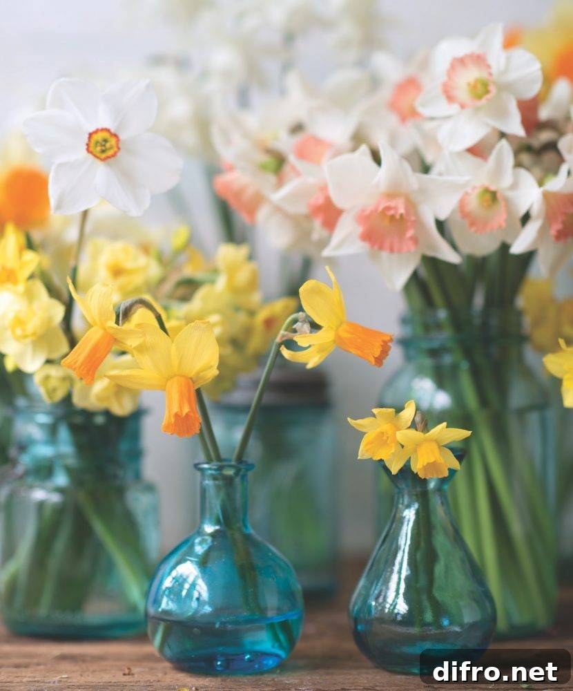 spring flower arrangement 