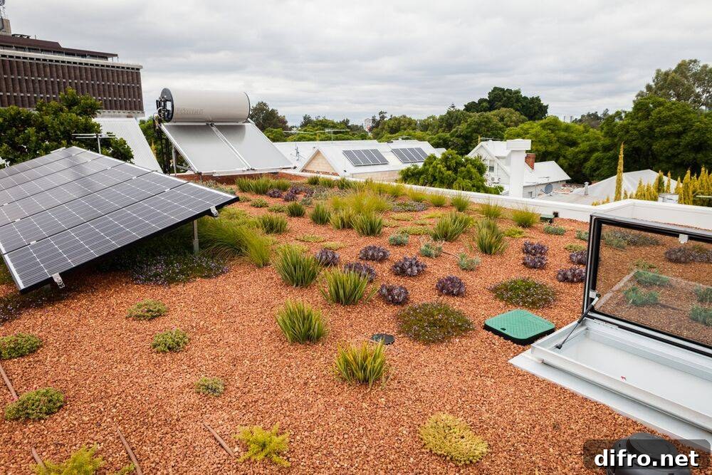 sustainable home exterior features