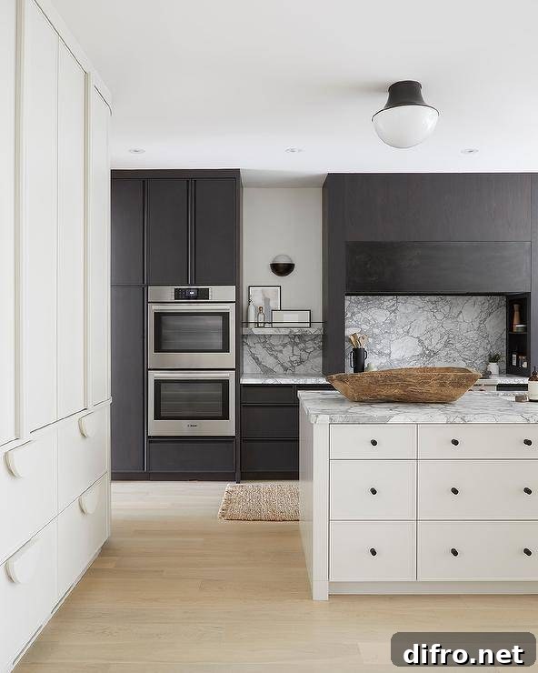 Black and white modern kitchen with built-in oven