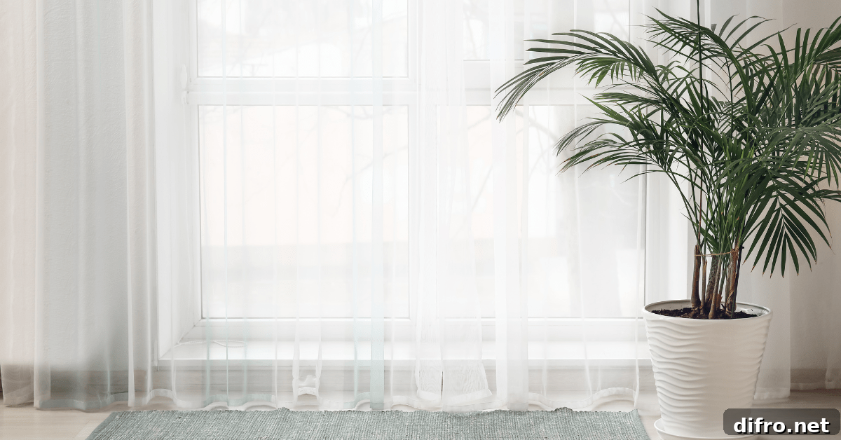 White curtains with a plant nearby.