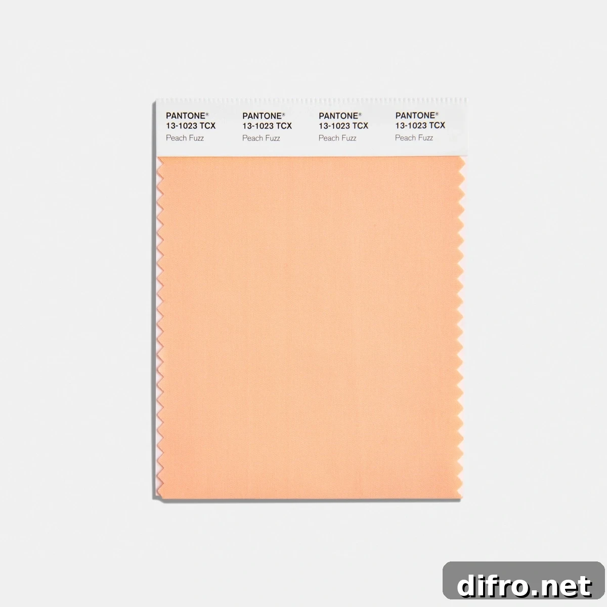 A sample car that reads PANTONE 13-1023 TCX Peach Fuzz.