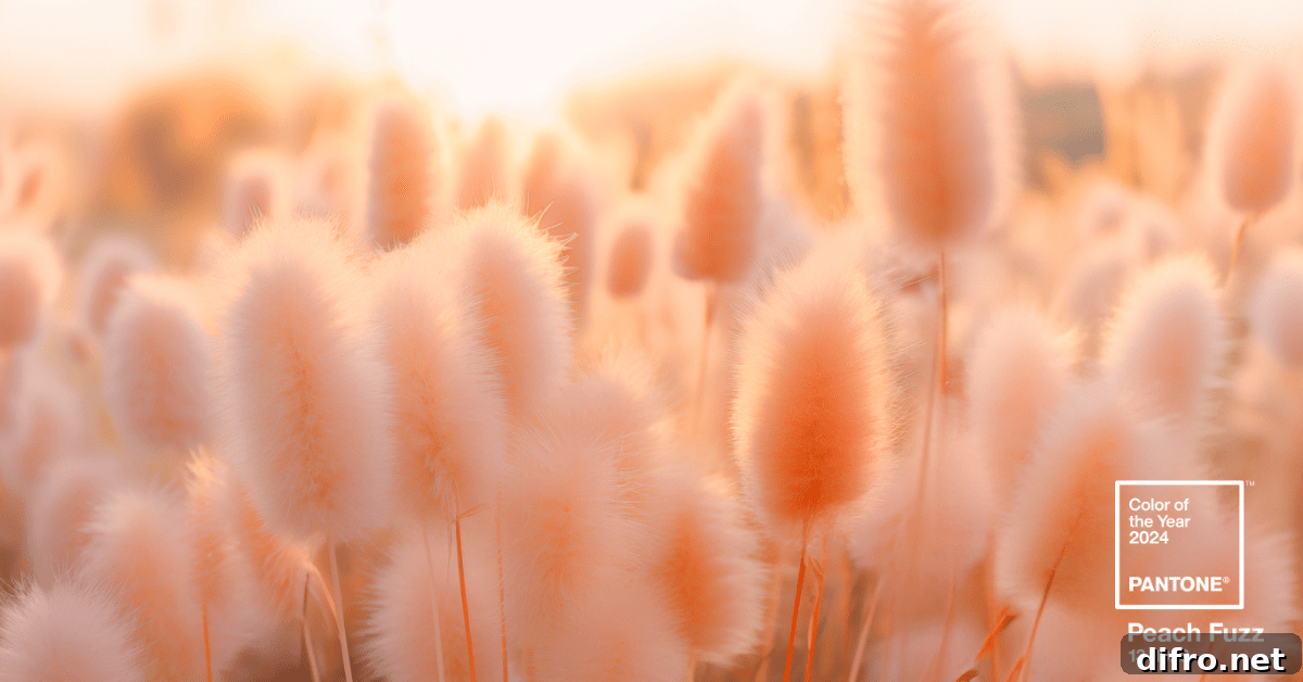 A field of plants that are Peach Fuzz 13-1023 in color.