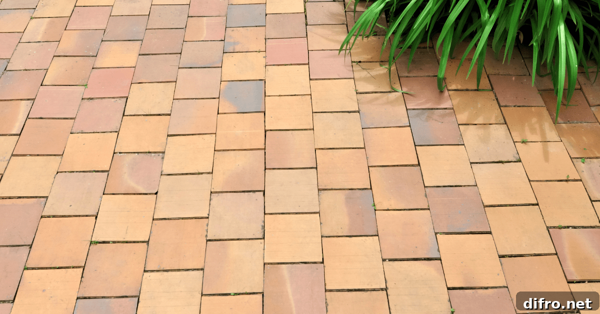 Outdoor terracotta floor tiles.