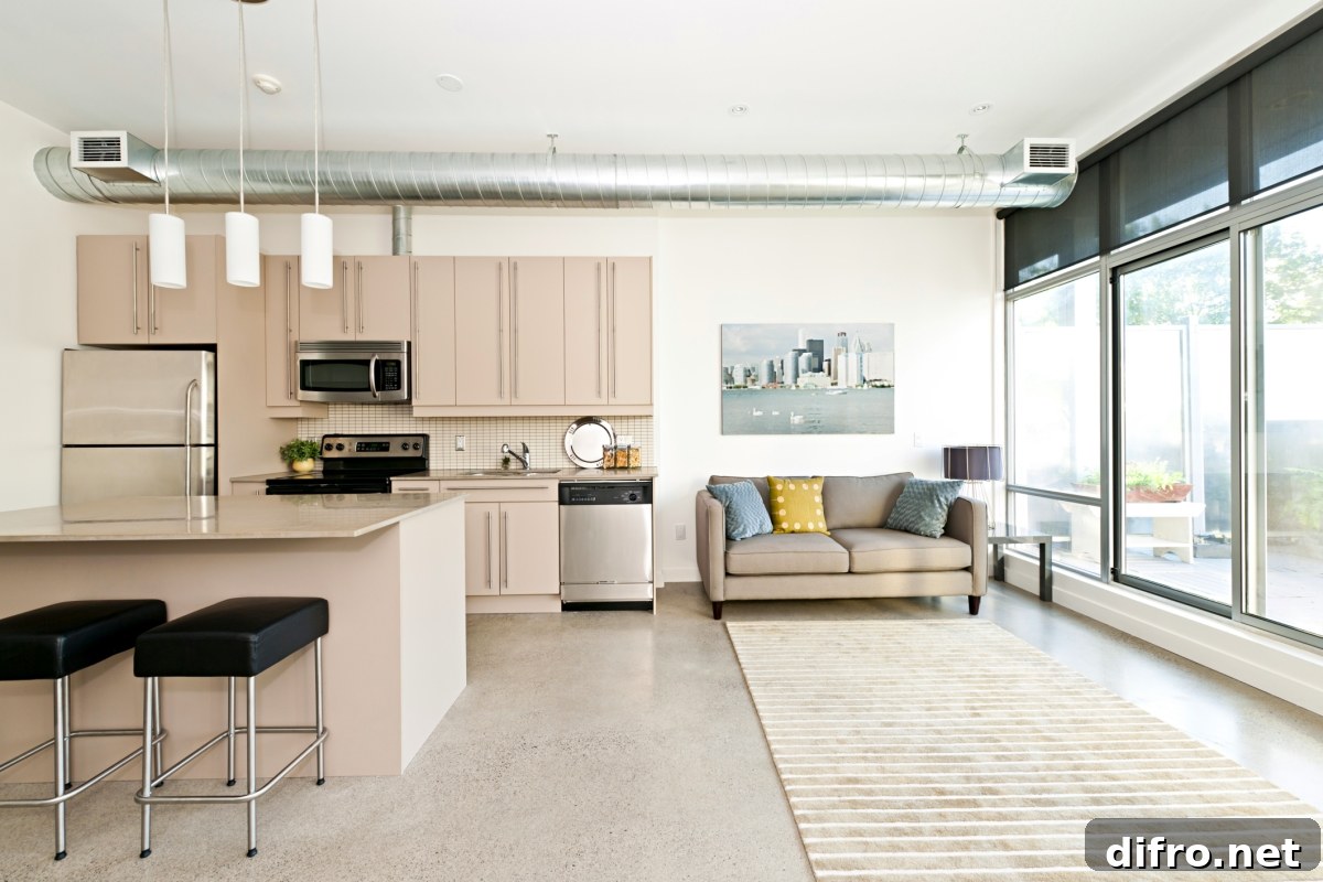 Studio apartment with modern kitchen, couch, area rug, and air ventilation tube.
