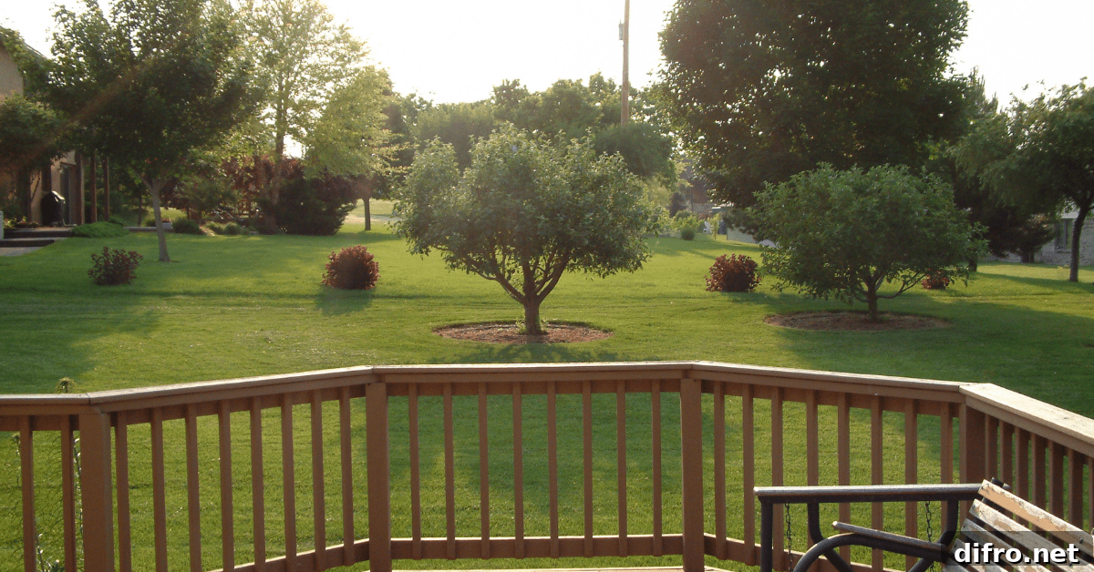 Back porch that looks out to greenery.