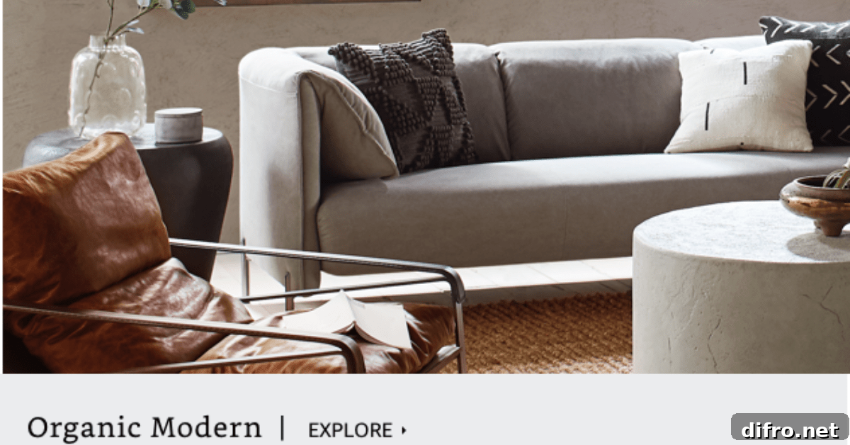 Organic modern-style living room.