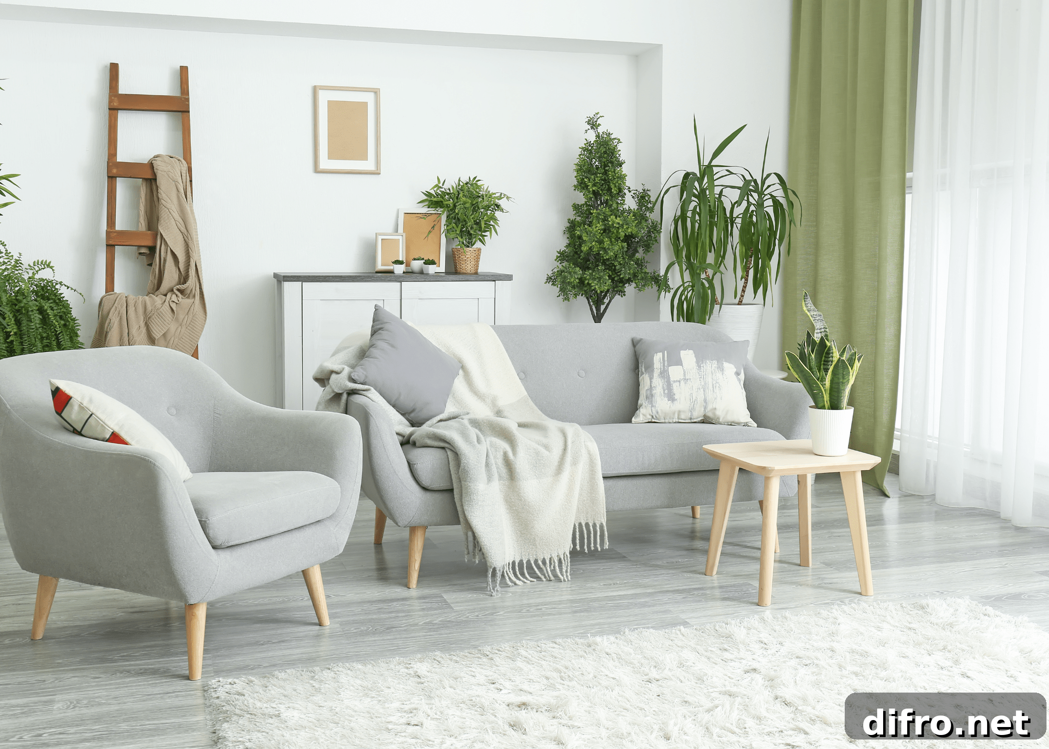 White living room filled with houseplants.