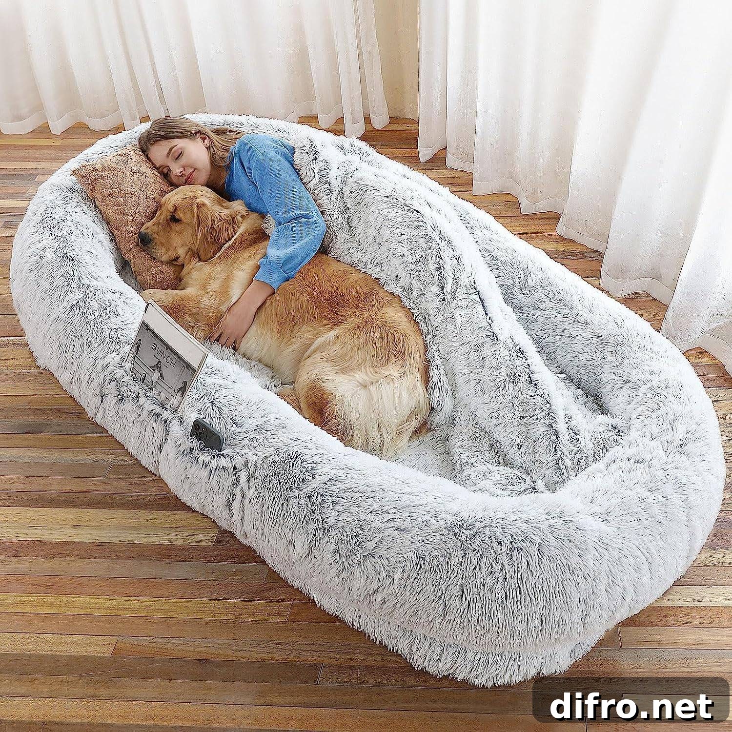 human dog bed woman and golden retriever sleeping in
