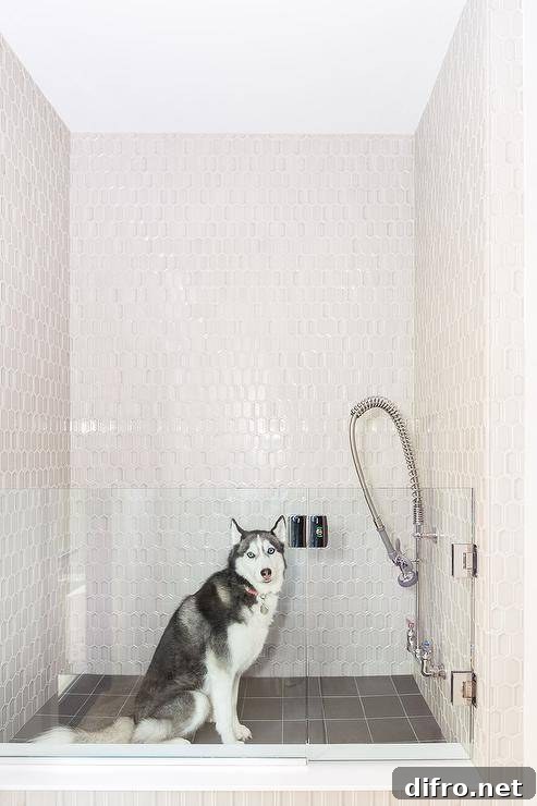 Dog shower is clad in beige picket surround tiles complemented with black grid floor tiles and is finished with a glass door.