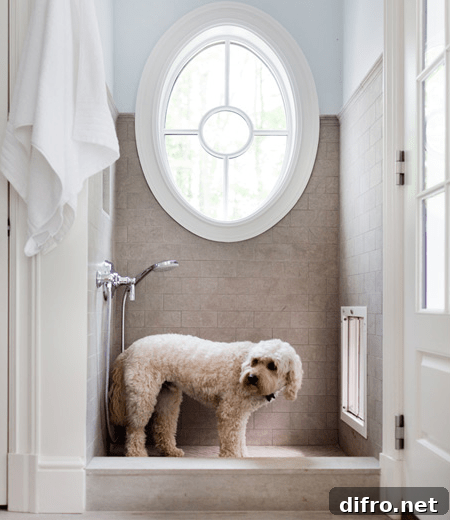 Mud room dog shower with pale blue paint color paired with tumbled tile shower surround. Oval mud room shower window shaped like porthole and polished nickel shower kit.
