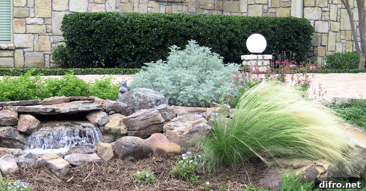 Plants and features that are for xeriscaping.