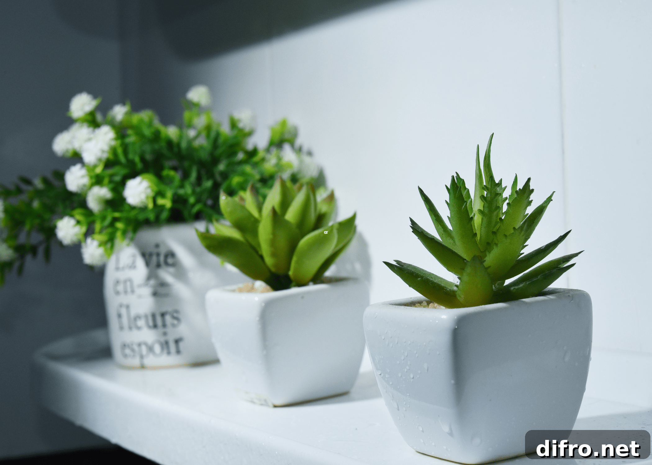 fake plants and succulents