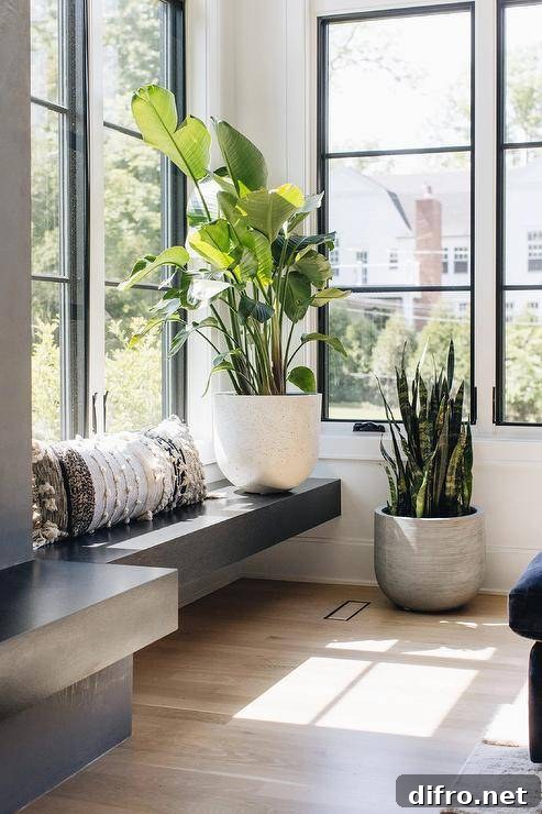 Chic entry features a modern black oak built-in window seat topped with a black, white, and cream lumbar pillow and a large potted plant.