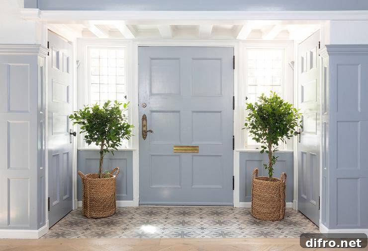 Entryway with blue front door and potted plants in woven baskets