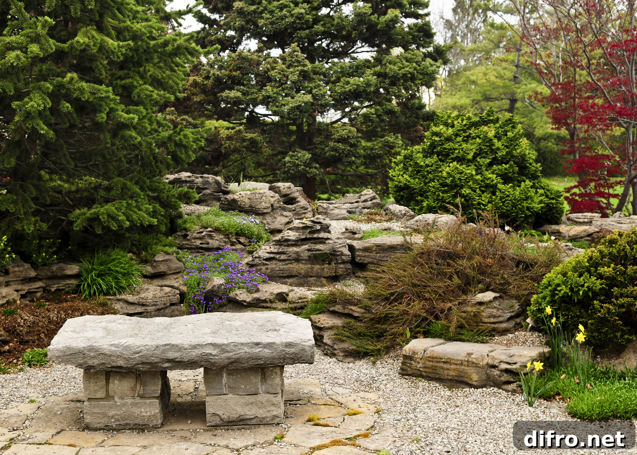 rock garden with out grass and bench