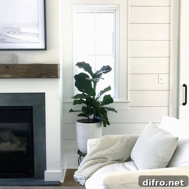 Cottage living room with shiplap fireplace wall and salvaged wood mantel, white slipcovered chair and green house plant