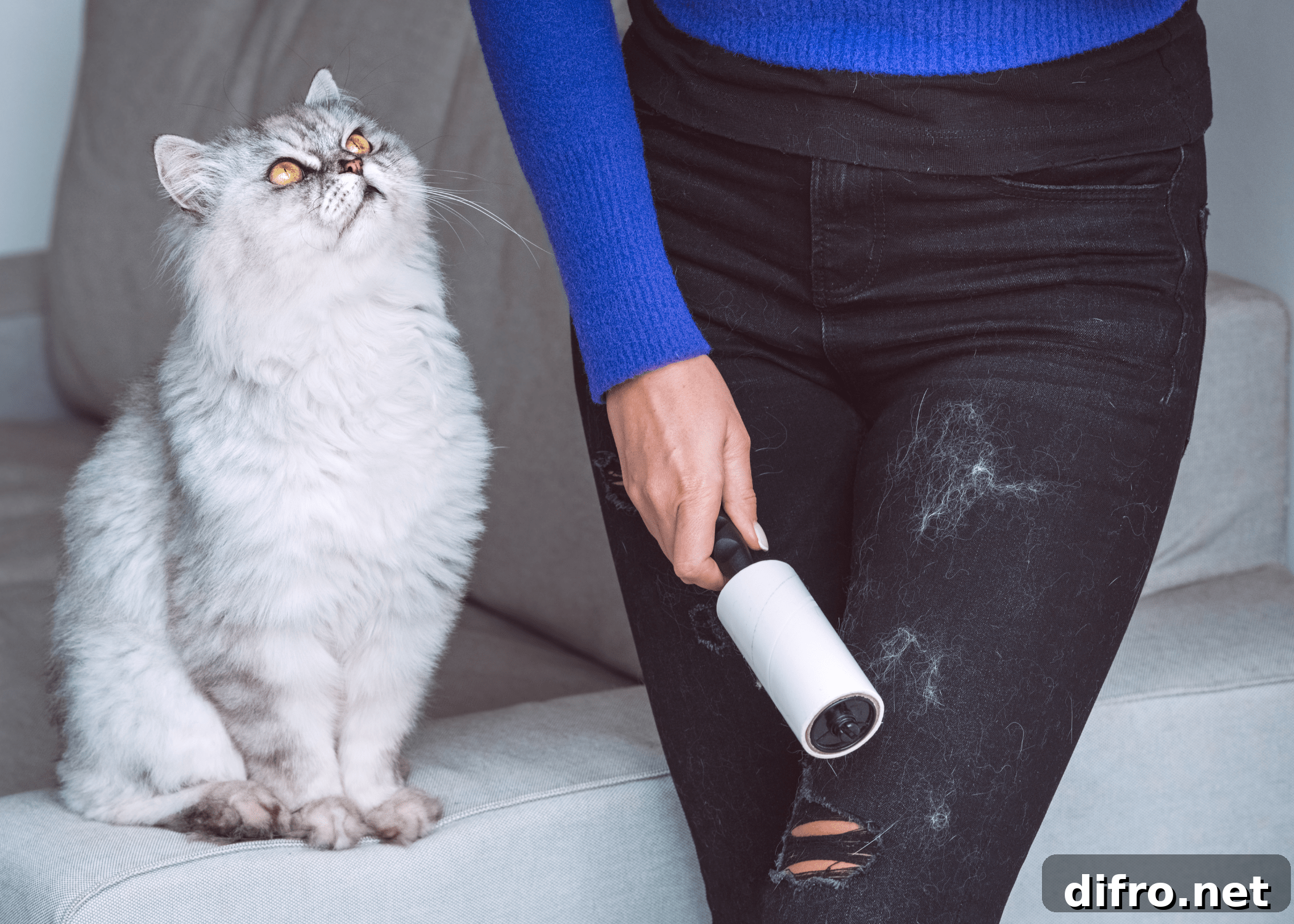 lint roller being used on pants