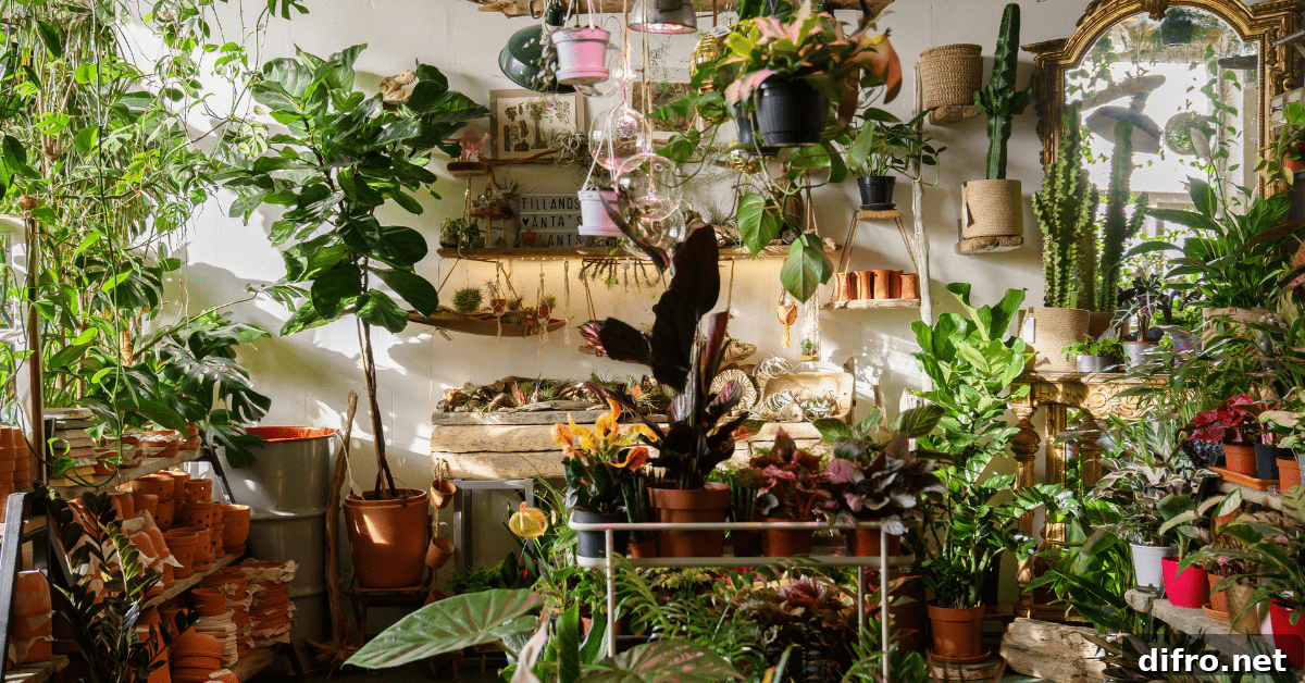 Room full of plants and decor.