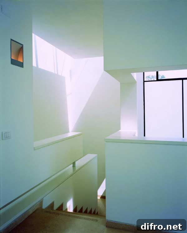 img 26436 16