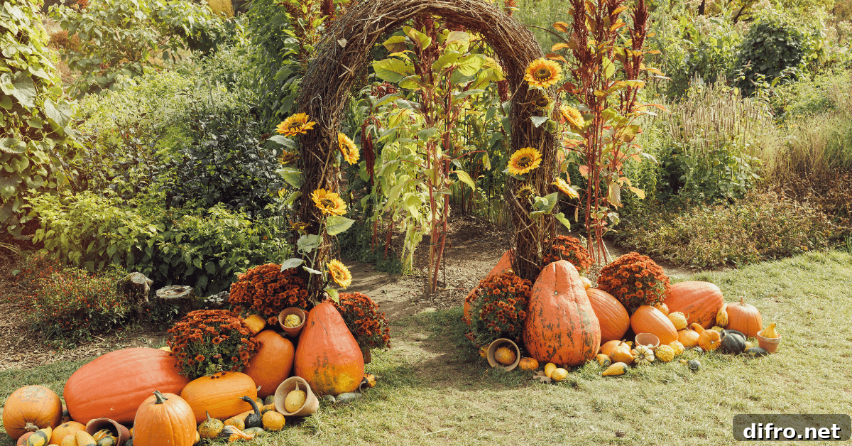Outdoor fall decor.