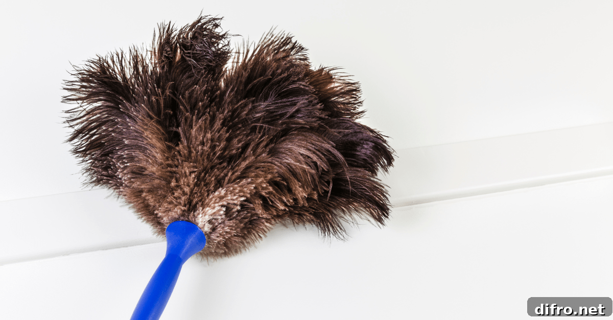 Dusting the ceiling.