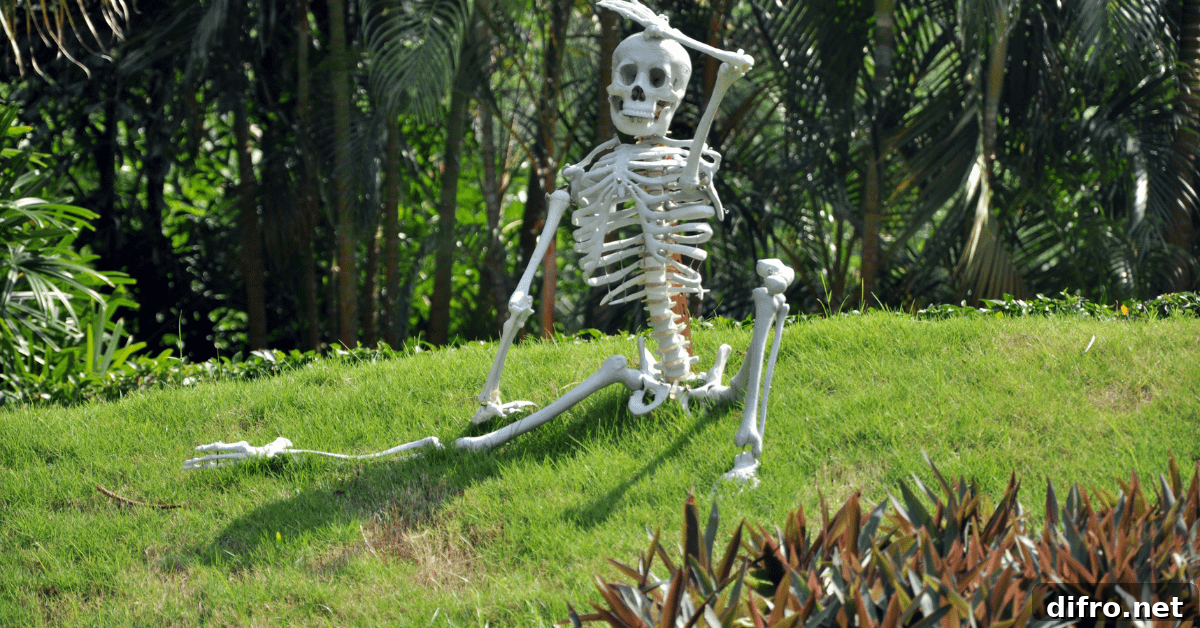 Skeleton on the front yard.