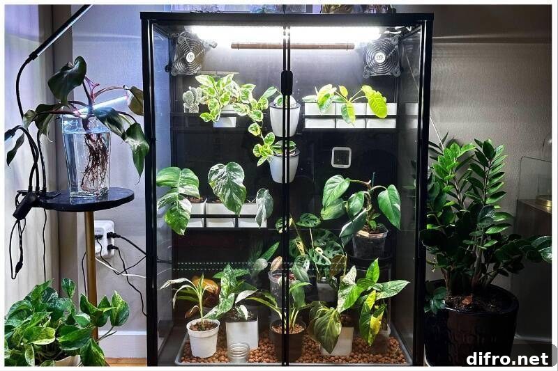 Black cabinets used for indoor plant greenhouse.