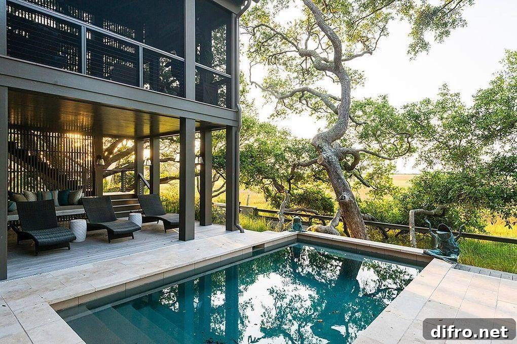 Small pool with tree in the back.