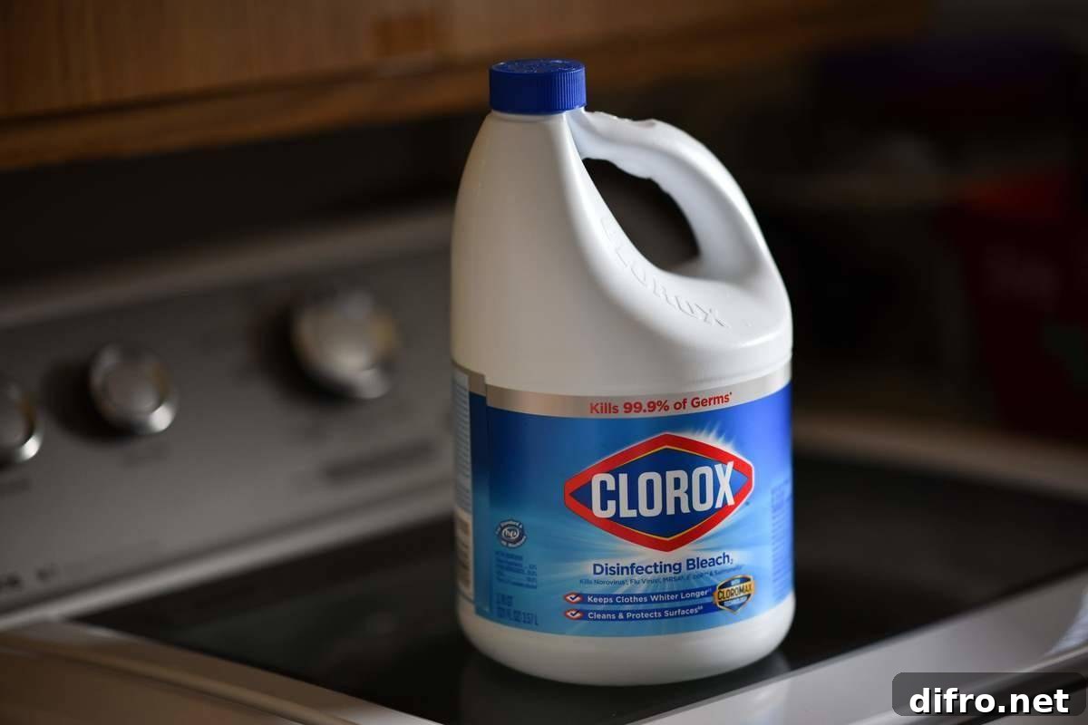 A container of Clorox bleach sits on a counter.