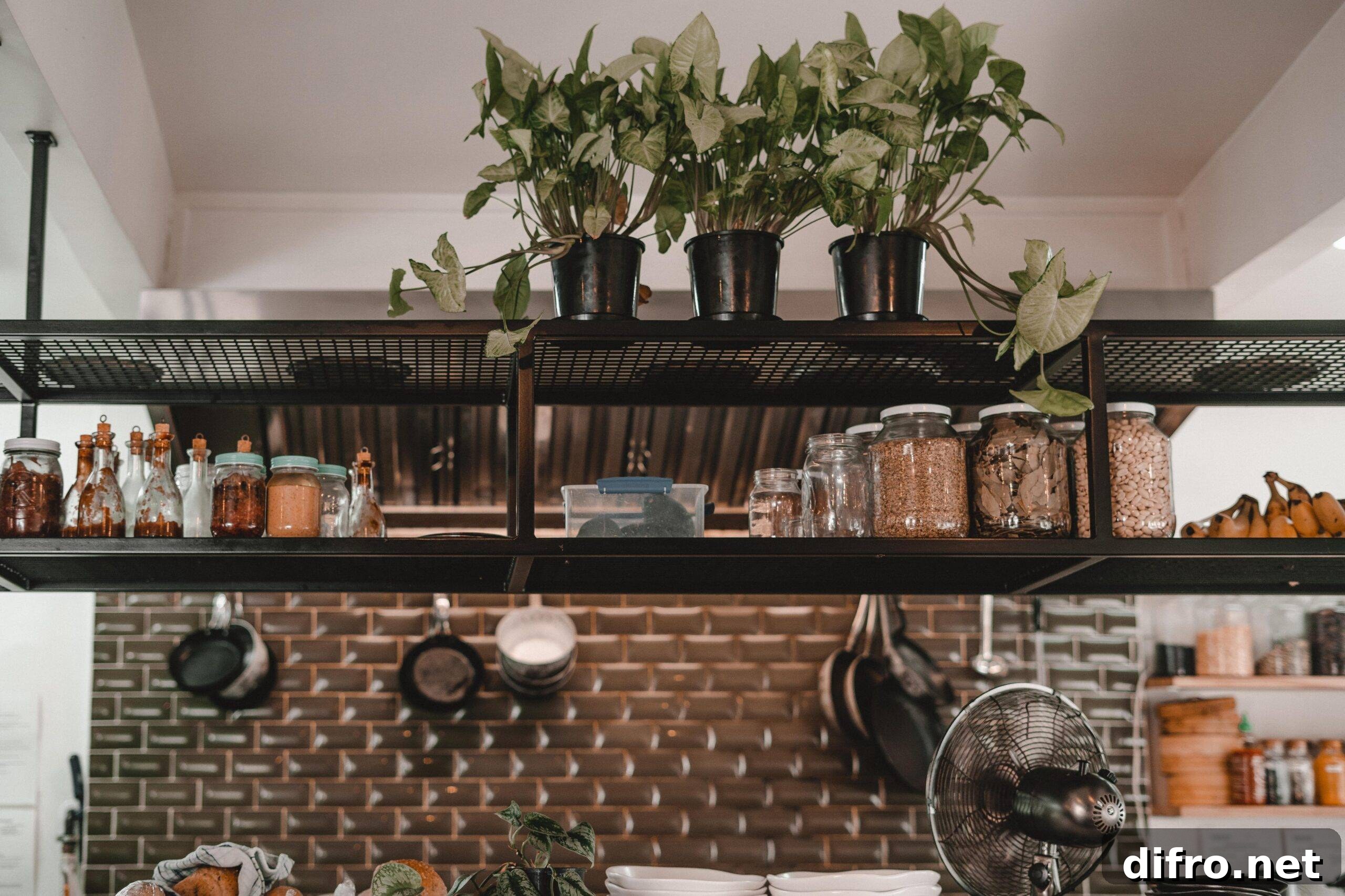 A hanging two tiered metal shelf above a kitchen center island, filled with jars and topped with plants.