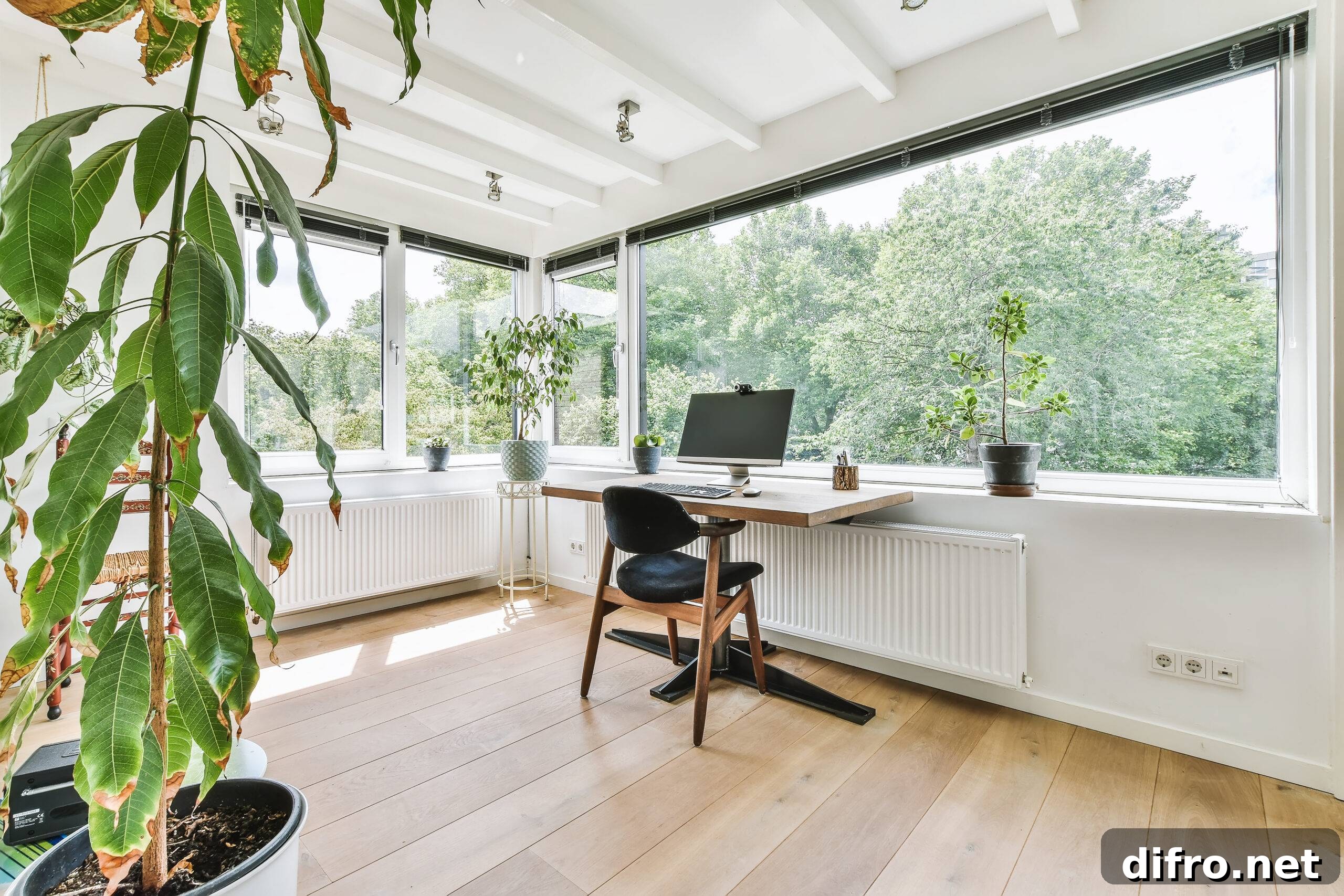 Luxury interior design with modern furniture and large windows