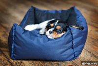 5 Creative Ways to Repurpose Old Pillows
