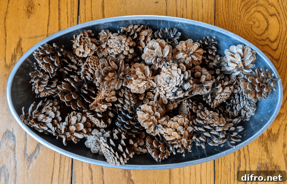 An aerial photo of an oblong bowl with a collection of decorative pinecones in it.