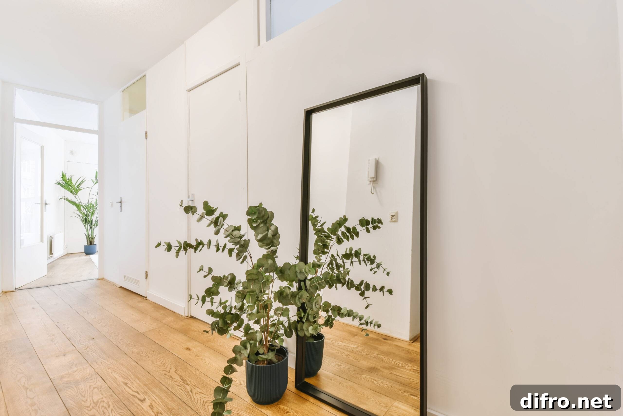 Lovely room with a floor-length mirror and plant
